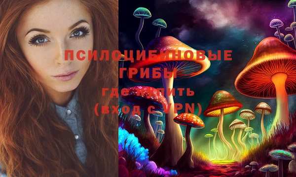 стаф Богданович