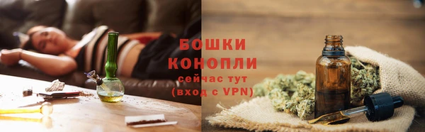 крисы Богородицк
