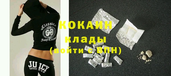 крисы Богородицк