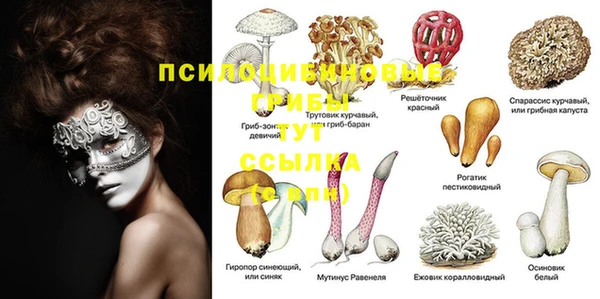 бошки Пестово