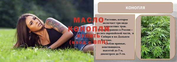 крисы Богородицк
