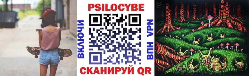 площадка Telegram наркотики Рыбинск Галлюциногенные грибы Psilocybine cubensis